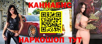 стаф Дубна