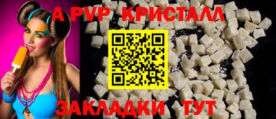 стаф Дубна