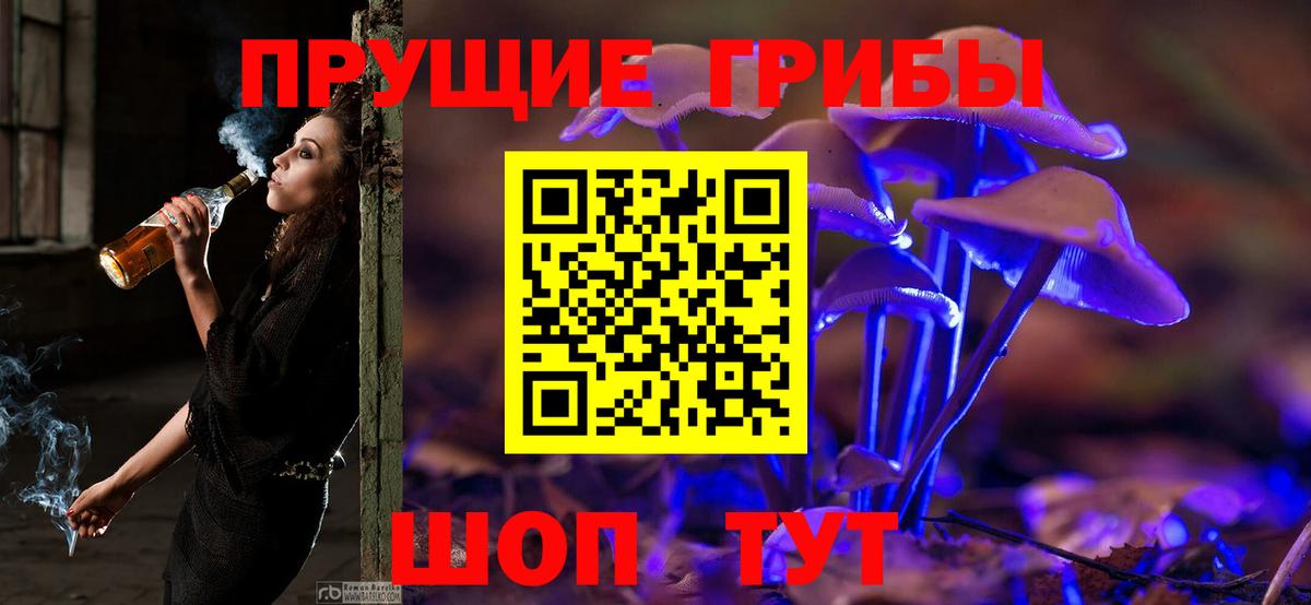 Кунгур  Псилоцибиновые грибы мицелий  Вход с VPN 