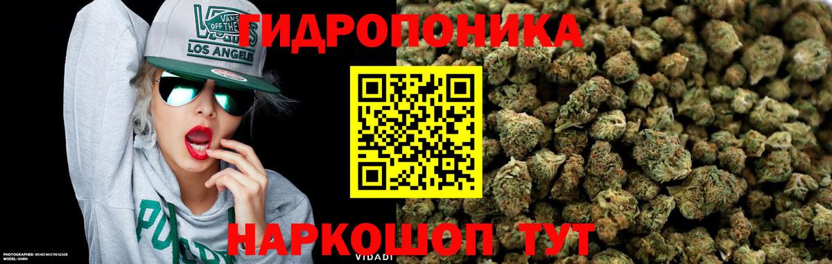 Бошки Шишки VHQ  МАРИХУАНА OG Kush  Бошки марихуана OG Kush  Вход с VPN  Кунгур 